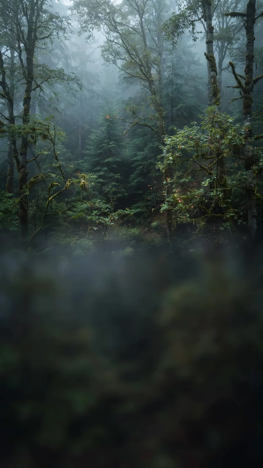 Muse Image: Vertical Story Background, sample 2