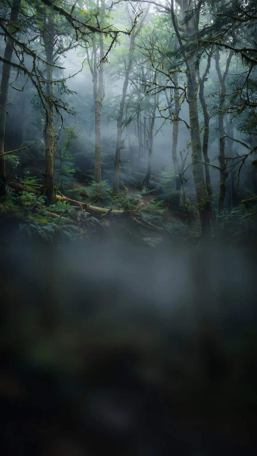 Muse Image: Vertical Story Background, sample 3