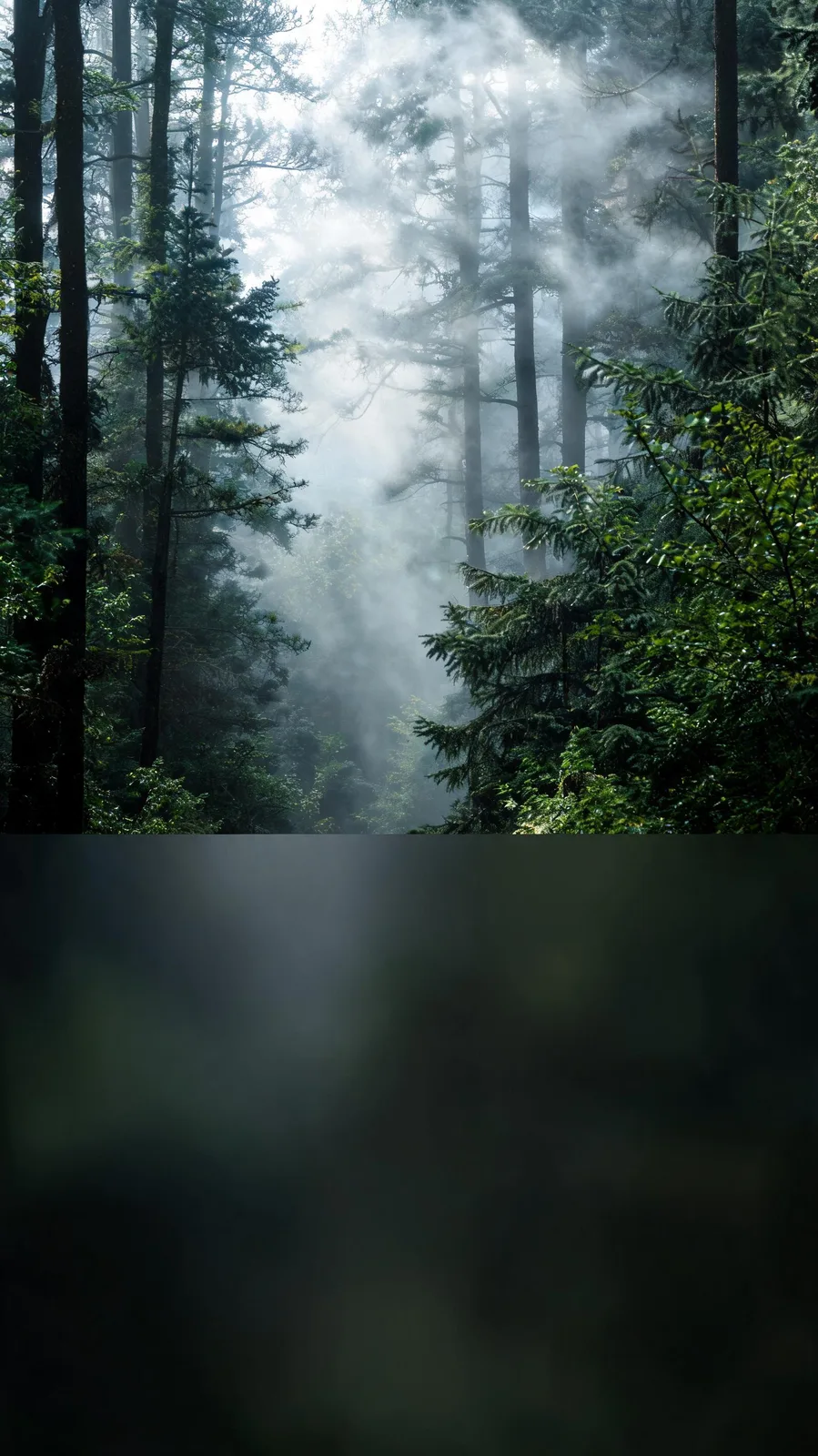 Seedream 5.0 Lite: Vertical Story Background, seed 1111