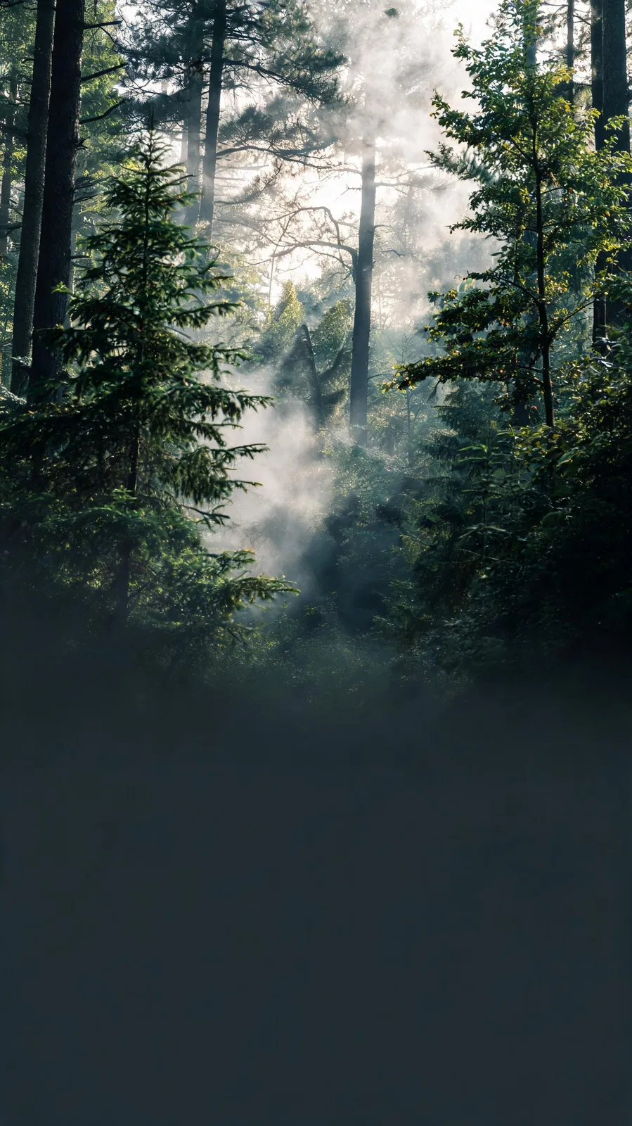 Seedream 5.0 Lite: Vertical Story Background, seed 2222