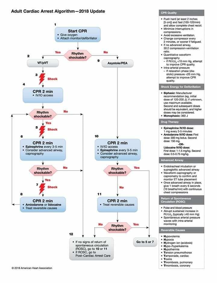 Protocolo ACLS: Algoritmo de parada cardiorrespiratória no adulto (Créditos: ECC Guidelines)