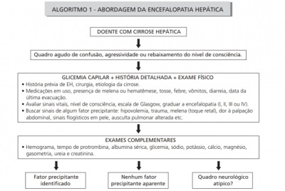 Abordagem no tratamento da encefalopatia hepática