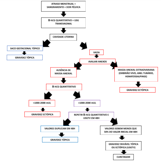 Abdome agudo em ginecologia: tipos, diagnósticos e tratamento - Medway