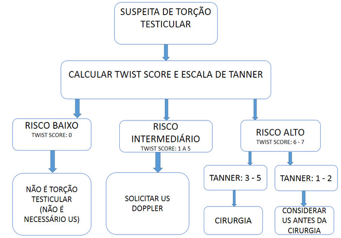 Na imagem: fluxograma de diagnóstico de torção testicular.