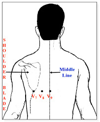 ECG  normal - saiba mais