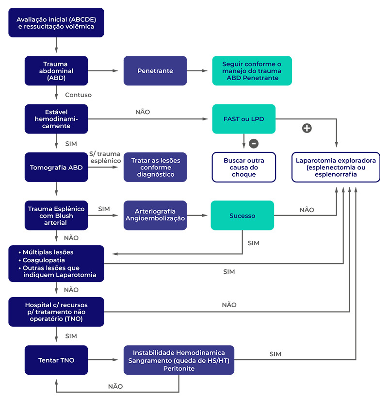 Manejo definitivo do trauma esplênico