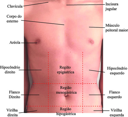 Cintura Tórax Corpo Roupa íntima ativa, abdominal, outros, abdômen