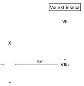 Esquema de cascata de coagulação por via extrínseca.