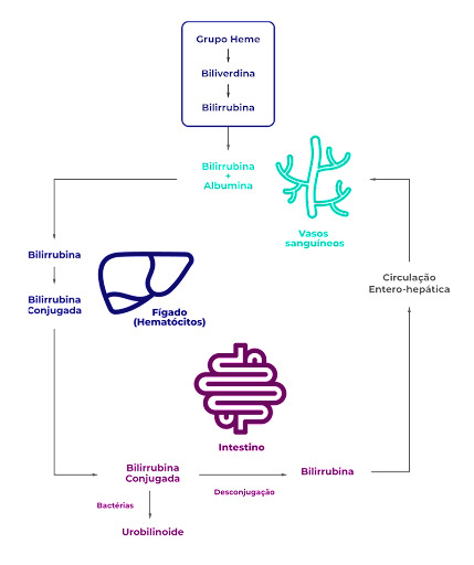 imagem ilustrativa da icterícia neonatal