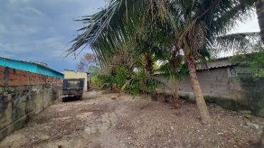 Ver detalhes: Terreno de 1.060 m² no Morro do Algodão (Ref. 1855)