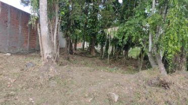 Ver detalhes: Lote inteiro de 490 m² no Bairro Jardim Gaivotas em Caraguatatuba/SP (Ref. 1982)