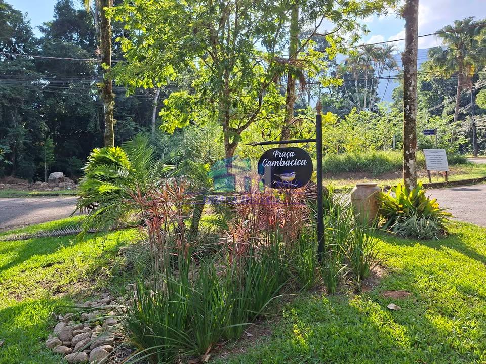Terreno em Massaguaçu