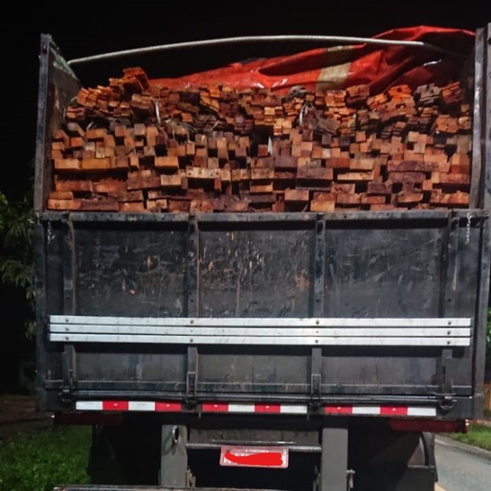 Três caminhões são apreendidos por transporte irregular de madeira