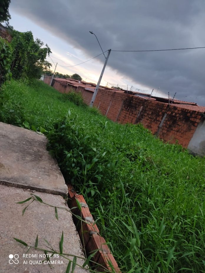 Com rua tomada pelo mato, moradores cobram por melhorias