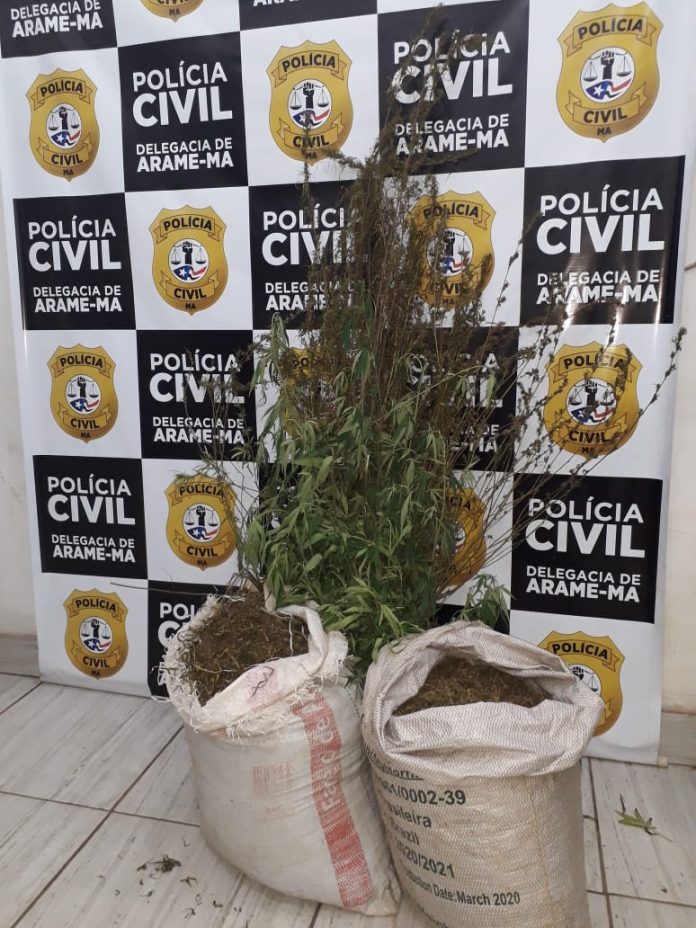 Polícia Civil apreende cerca de 30 kg de maconha