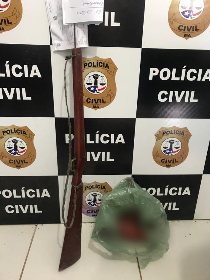 Homem é preso na BR-010 transportando macaco morto