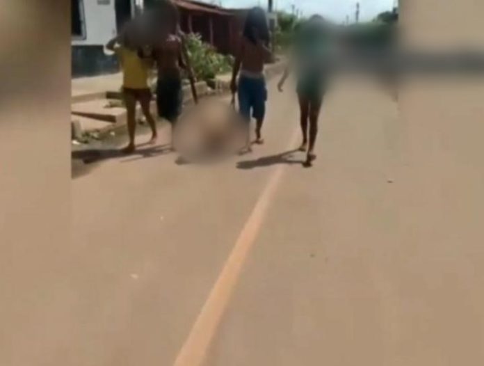 Homem paga R$ 10 para dupla matar cachorro no Maranhão