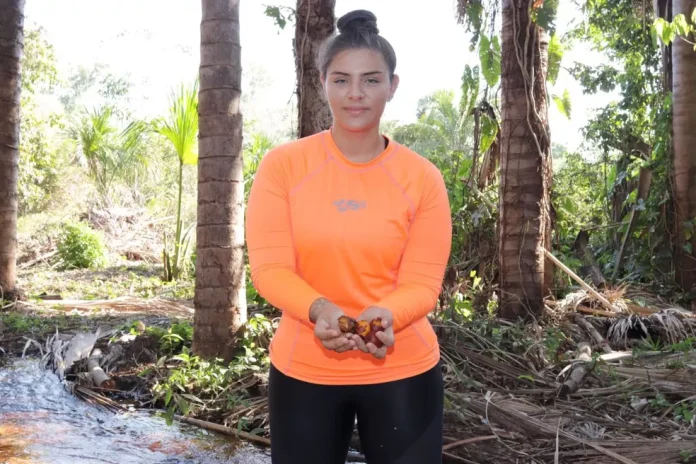 Imperatrizense cria bioacrílico de Buriti e se classifica para feira internacional