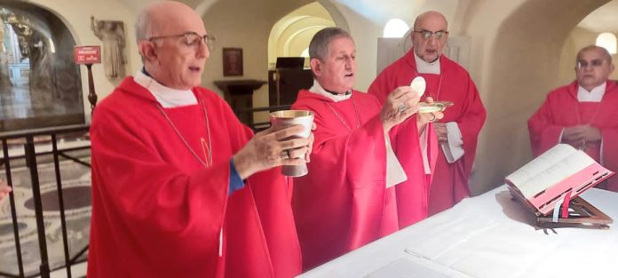 Bispo de Imperatriz, Dom Vilsom Basso, visita Papa Francisco no Vaticano