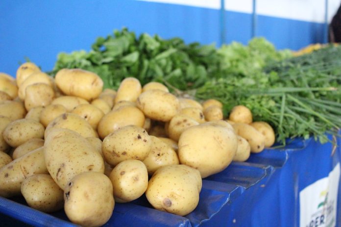 Agricultores e pescadores podem se inscrever no Programa Alimenta Brasil