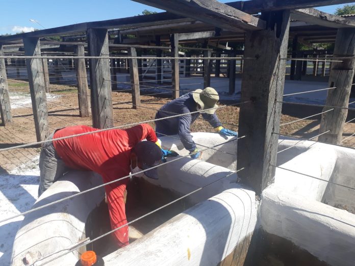 Agência Estadual de Defesa Agropecuária realiza inspeção no Parque de Exposições