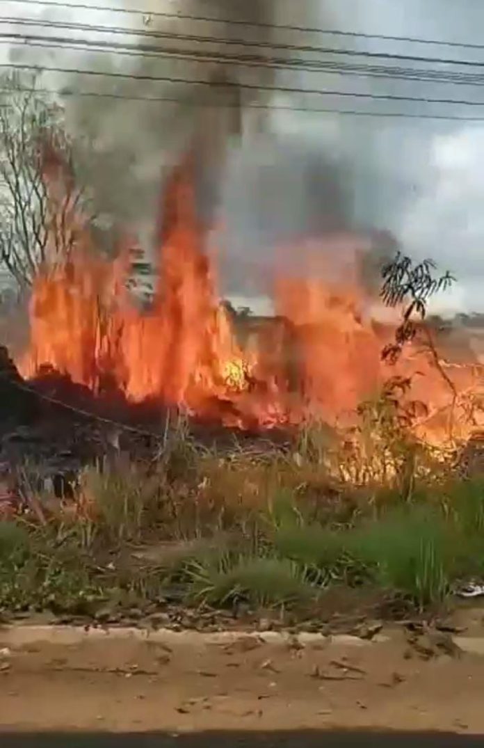 Incêndio em vegetação deixa moradores sem energia no Sebastião Régis