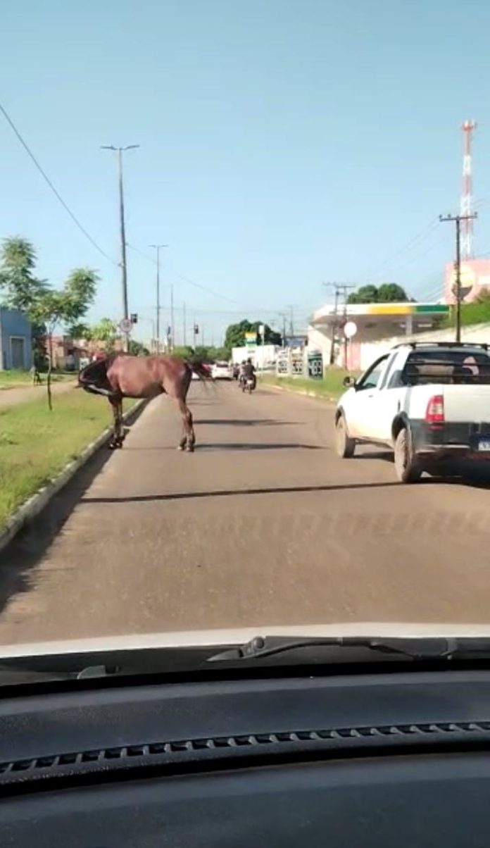 Terminou agora há pouco, na Câmara Municipal de Imperatriz, a segunda votação sobre o código tributário de Imperatriz. . Entre diversos aumentos de impostos, o código tem ainda a previsão da cobrança da taxa de reconhecimento de lixo. A sessão foi marcada por muita confusão entre os vereadores que votaram contra e os que foram favoráveis a nova aprovação. Em breve, mais detalhes sobre as regras aprovadas e sobre os vereadores que votaram contra e a favor do novo código tributário.