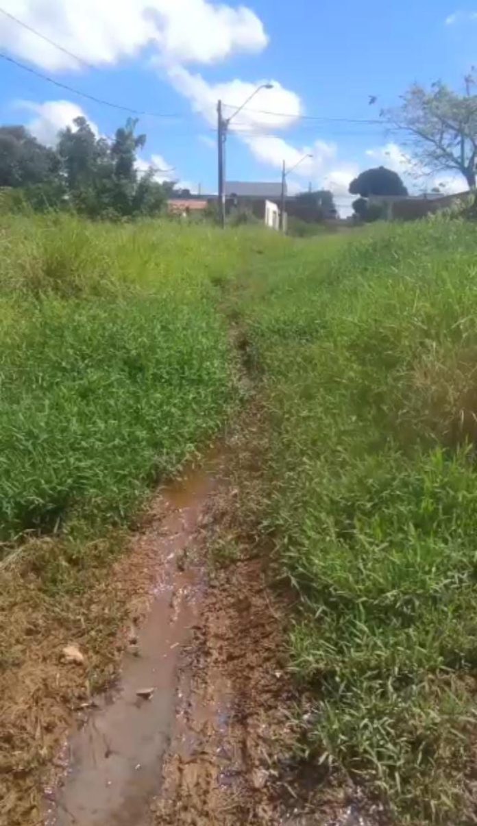 Moradores cobram melhorias para rua tomada por mato no bairro Imigrantes