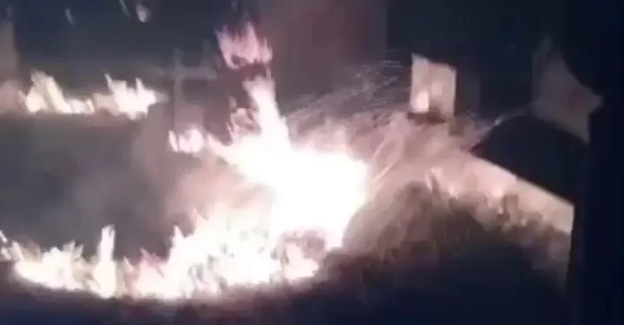 Incêndio em cemitério de Santo Amaro deixa moradores próximos do local assustados