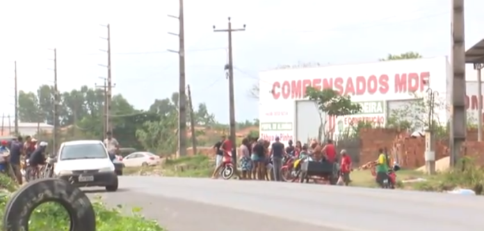 Carro atropela vacas e população aproveita para pegar a carne dos animais