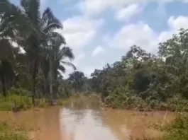 Riacho Cacau transborda no Parque Alvorada e famílias são levadas para abrigos