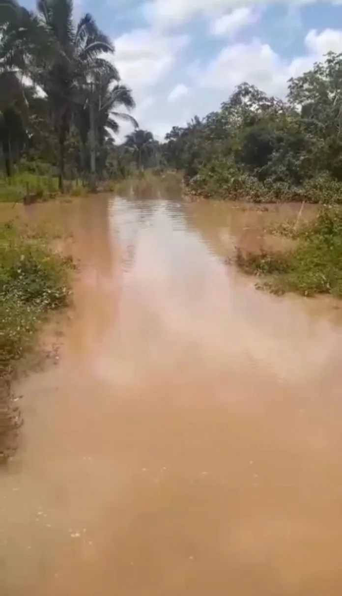 Riacho Cacau transborda no Parque Alvorada e famílias são levadas para abrigos