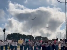 Estudantes bloqueiam trecho da BR-010 em Estreito como forma de protesto a falta de professores