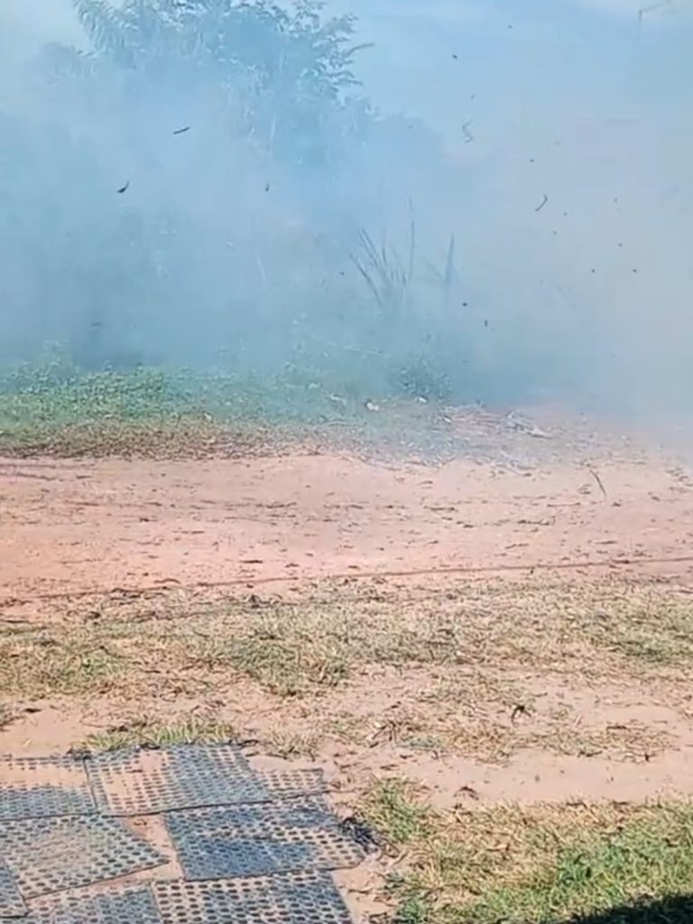Fogo e fumaça em terreno incomoda moradores no bairro Imigrantes 1 Imagens de Notícias de Imperatriz