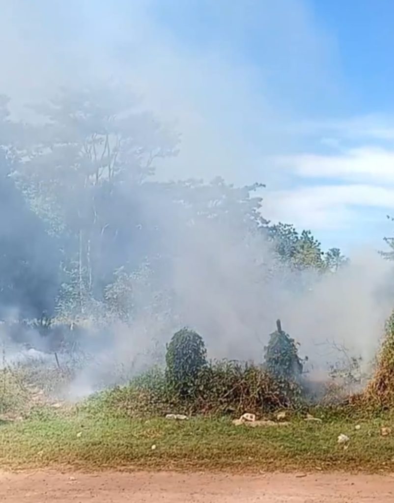 Fogo e fumaça em terreno incomoda moradores no bairro Imigrantes 2 Imagens de Notícias de Imperatriz