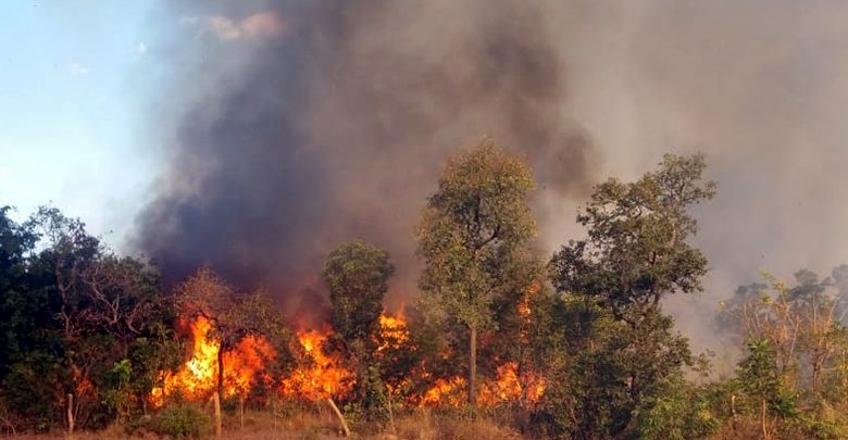 Fogo e fumaça em terreno incomoda moradores no bairro Imigrantes 4 Imagens de Notícias de Imperatriz