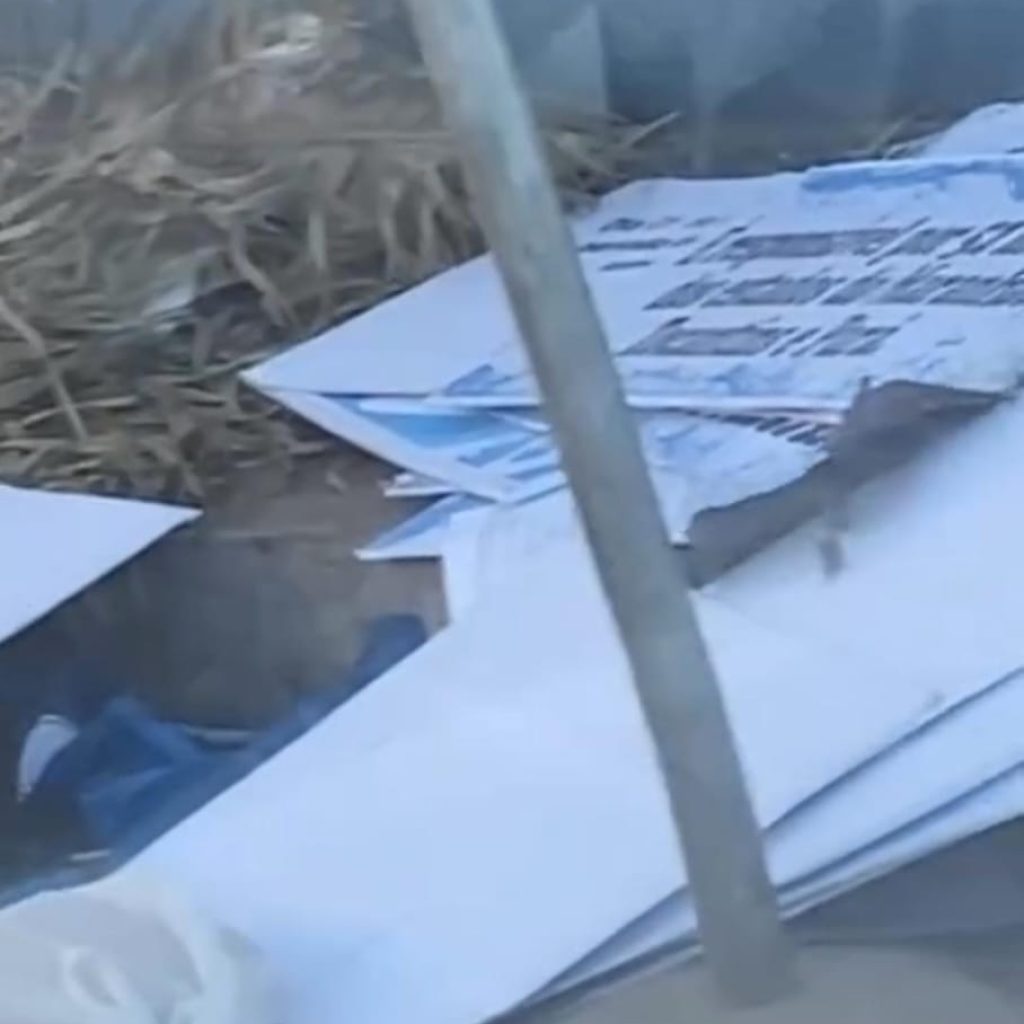 Moradores denunciam "lixão" em frente à escola e afirmam que o lixo é da própria instituição 1 Imagens de Notícias de Imperatriz