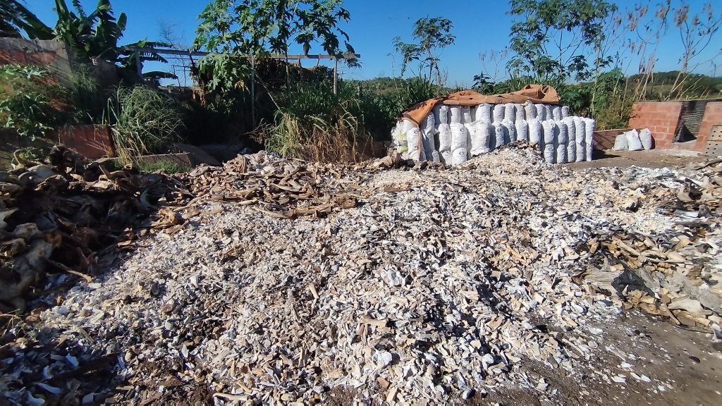 Operação apura denúncias de irregularidades no uso de ossadas de bovinos e suínos em Imperatriz e Açailândia 2 Imagens de Notícias de Imperatriz
