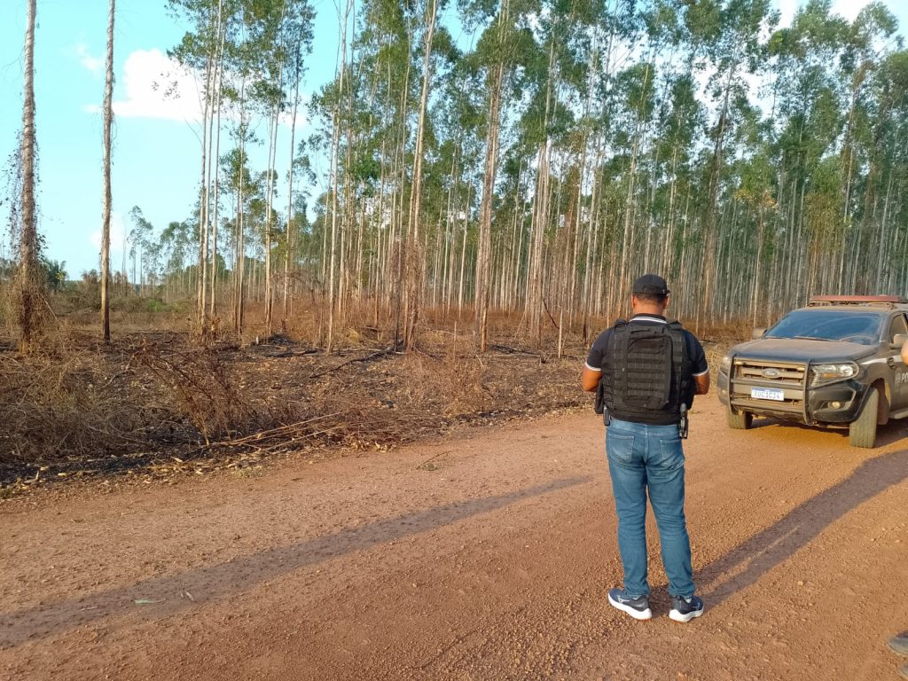 Polícia intima suspeitos de desmatamento e queimadas em área de preservação em Imperatriz 1 Imagens de Notícias de Imperatriz