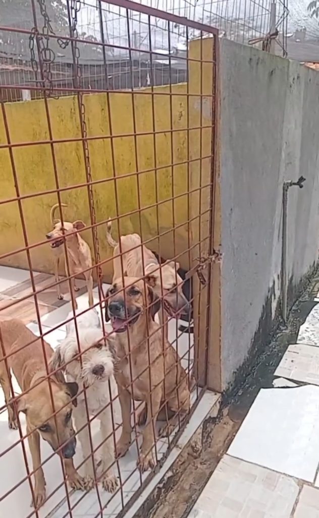 Imagens de Notícias de Imperatriz