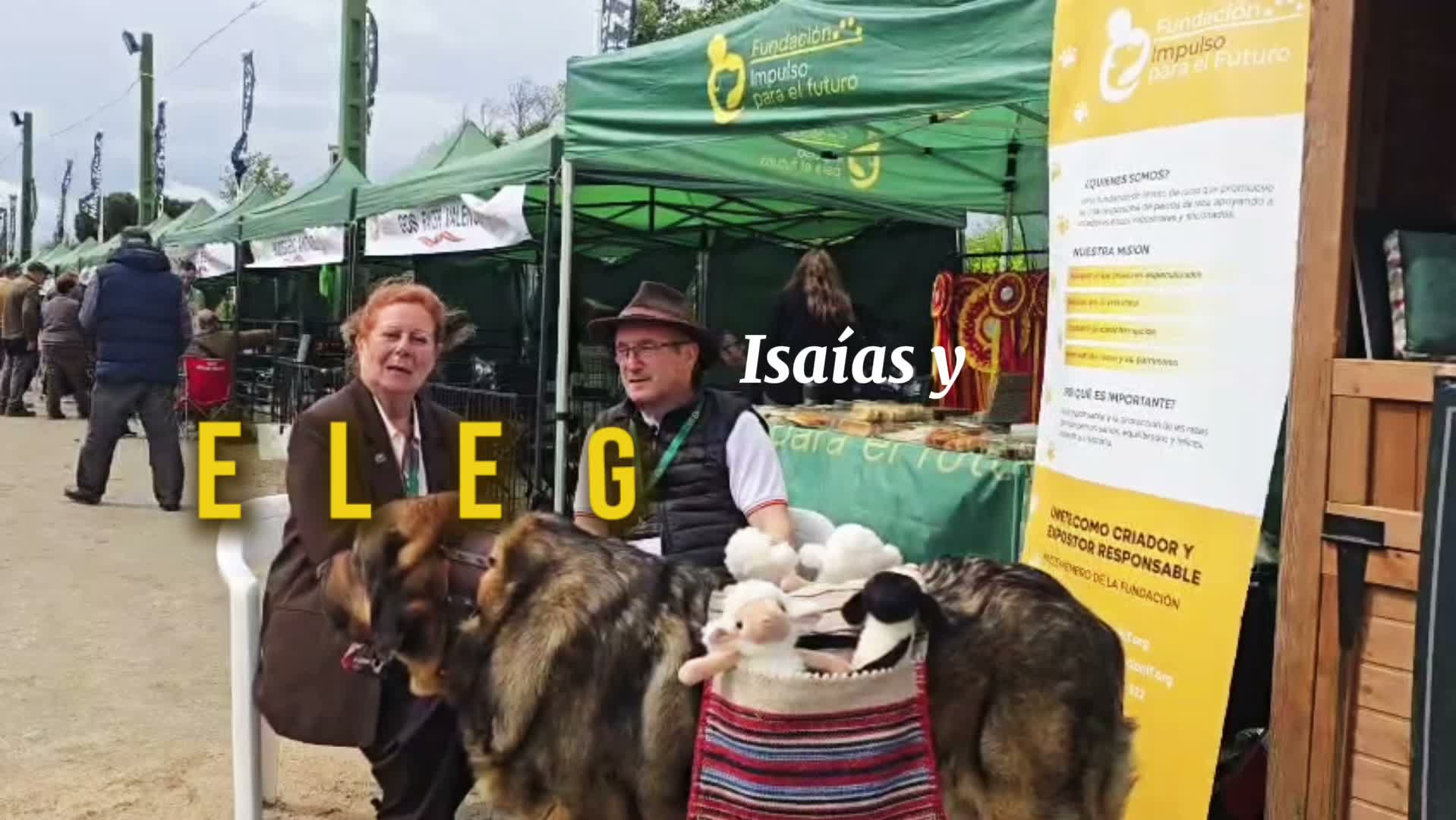 Isaías Perandones «Mastín Español»