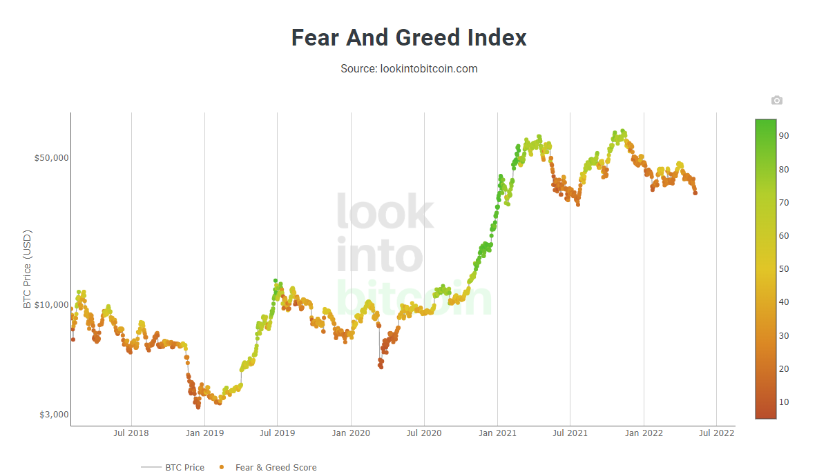 What Is the Crypto Fear and Greed Index and How To Use It
