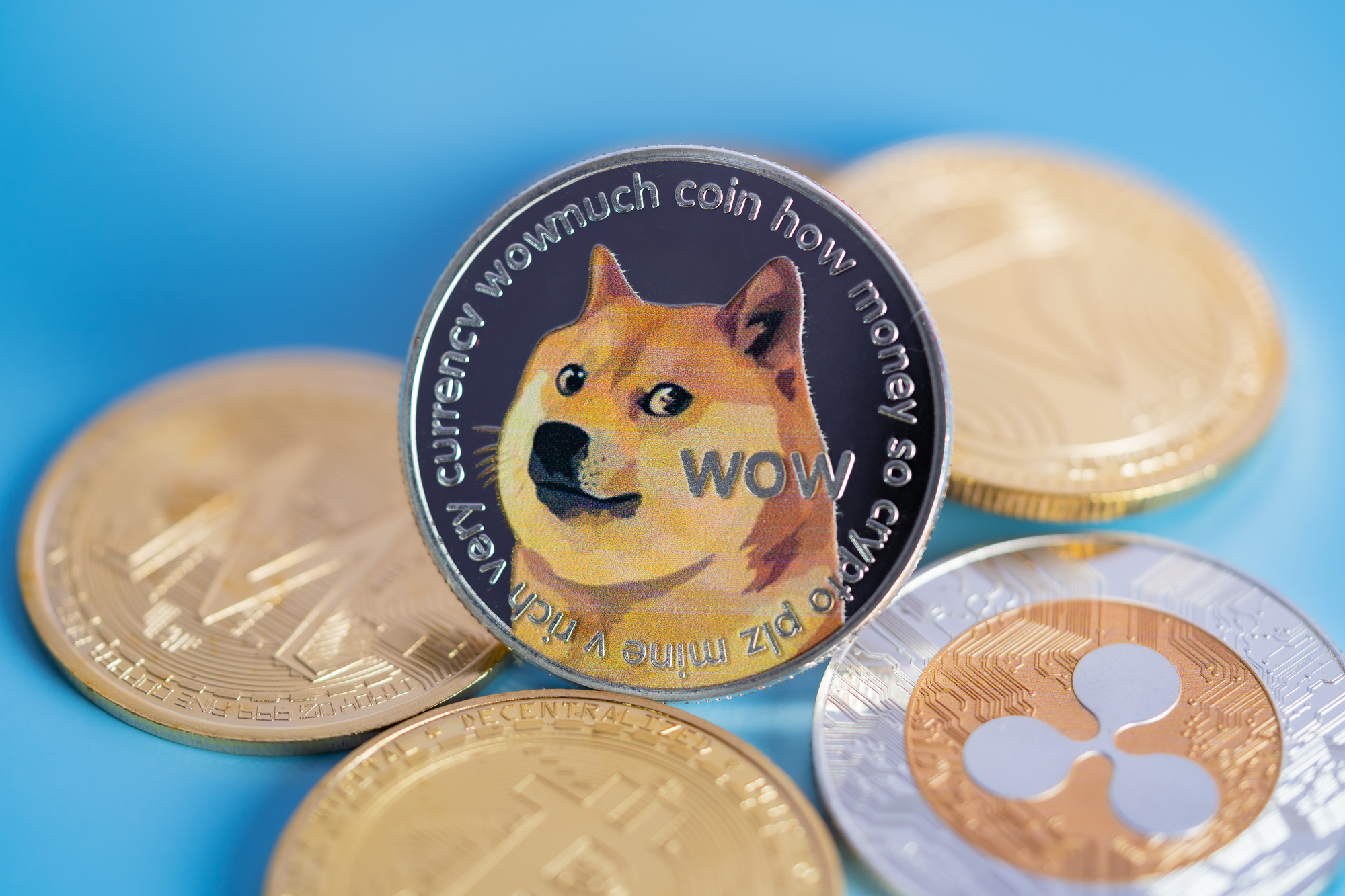 Dogecoin and Polygon Price Prediction and Beyond: a Look at Key