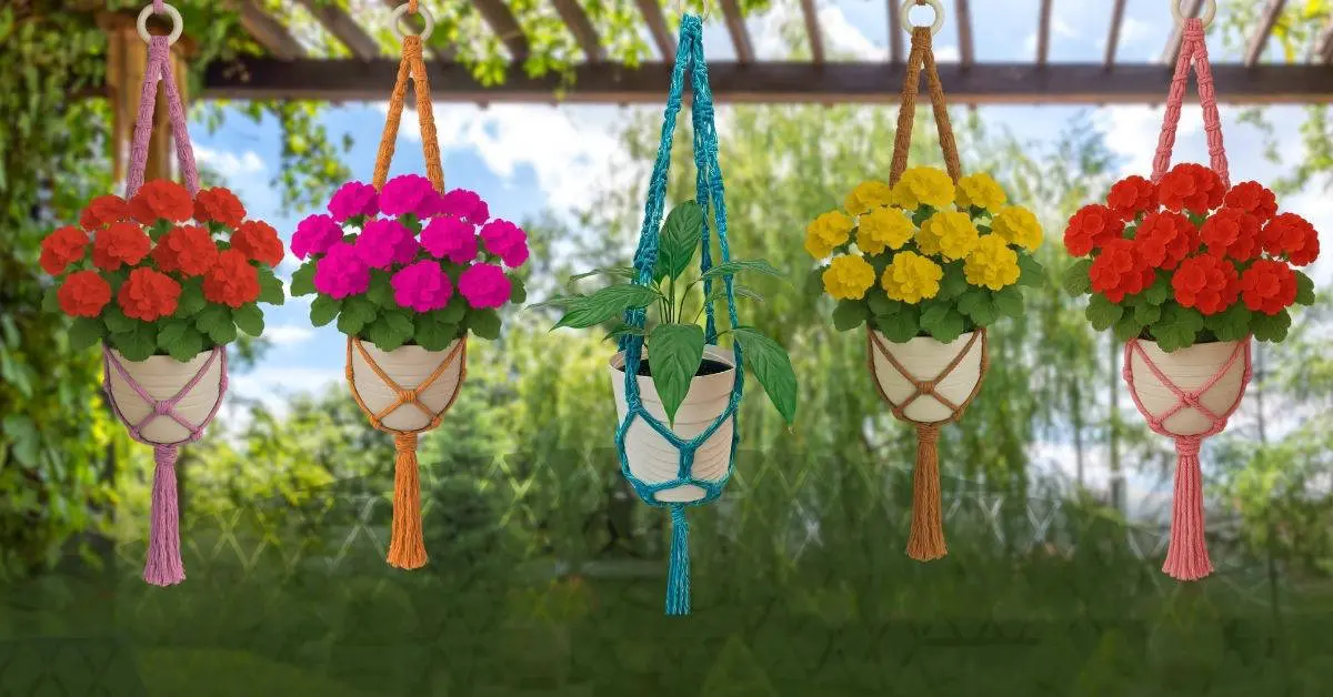 event cover image