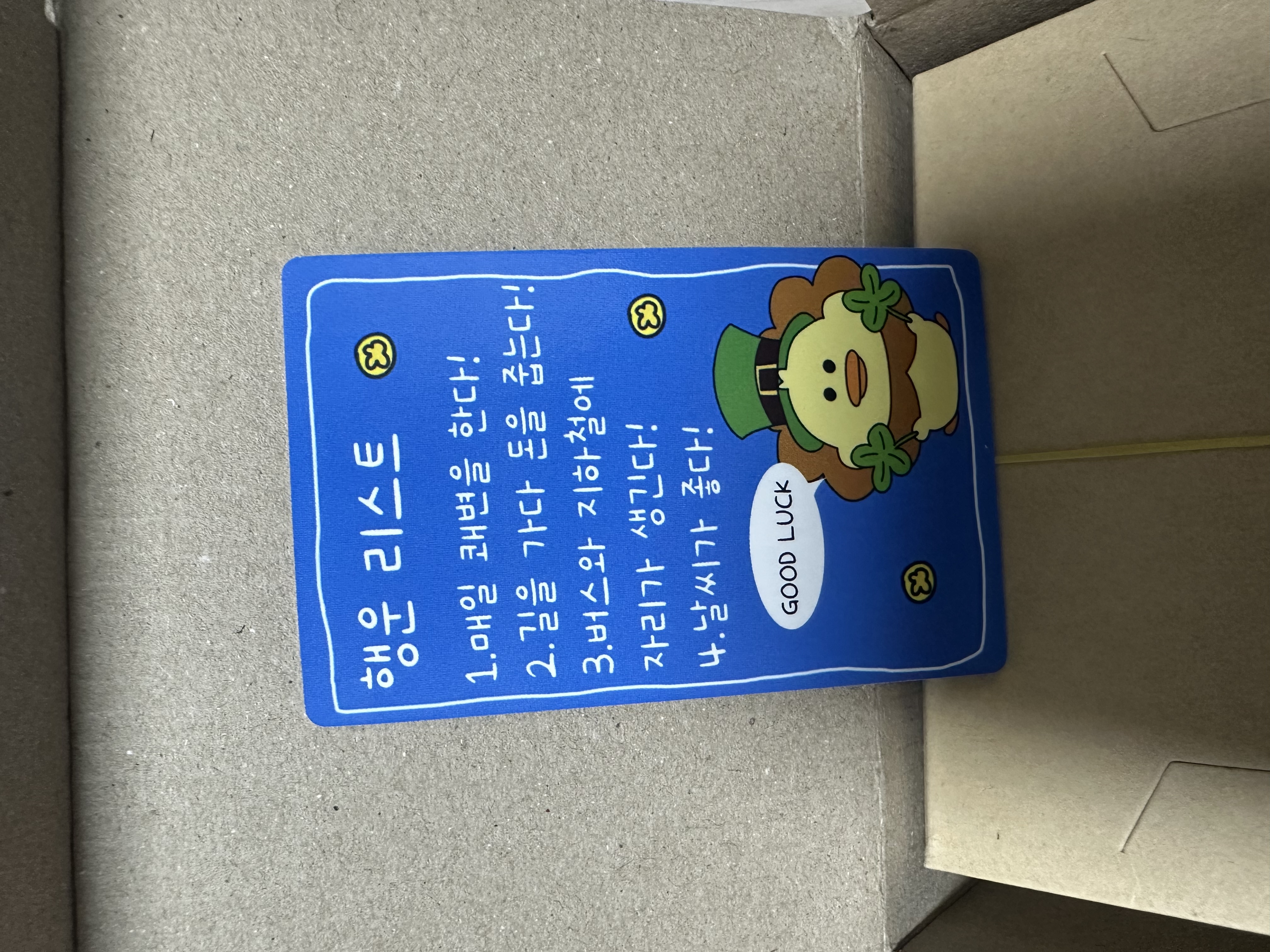 KakaoTalk_20250514_190906449_04.jpg