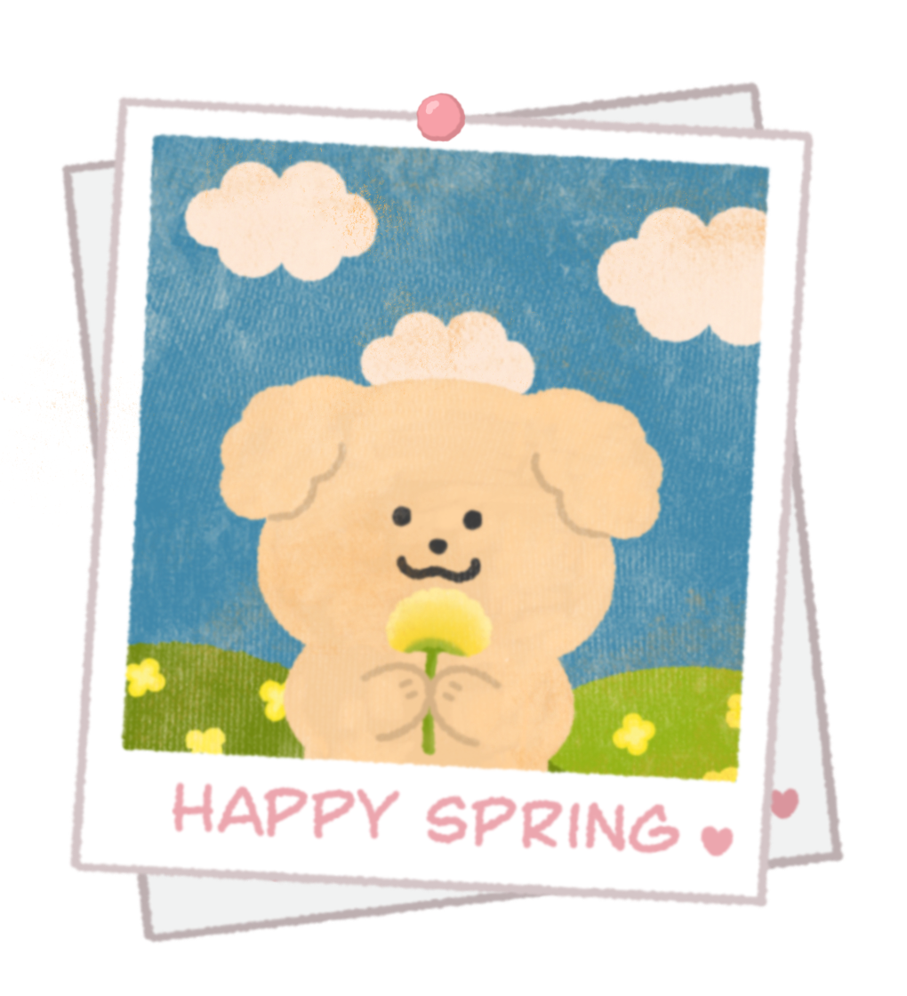 BlockNote image