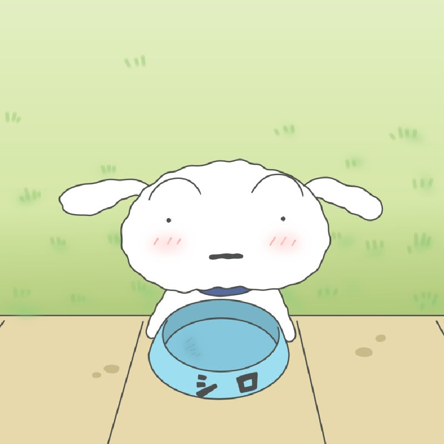 흰둥이.jpg