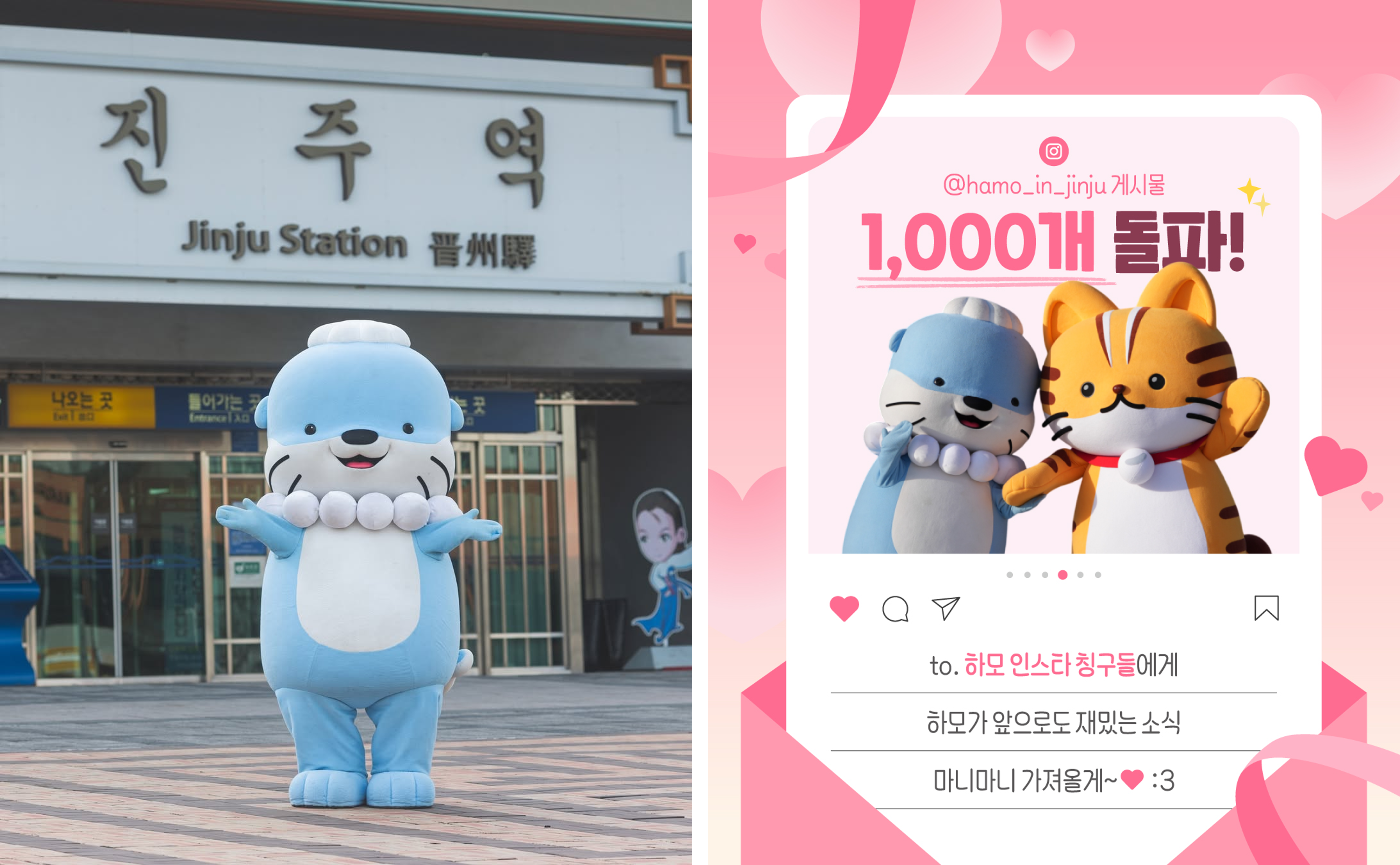 출처: 하모 공식 인스타그램 (@hamo_in_jinju)