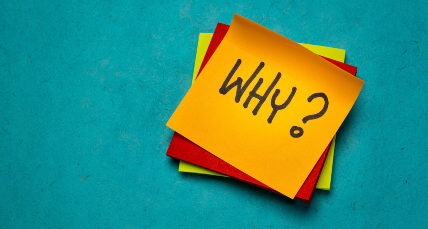 Why interior design blogs still matter even in 2026