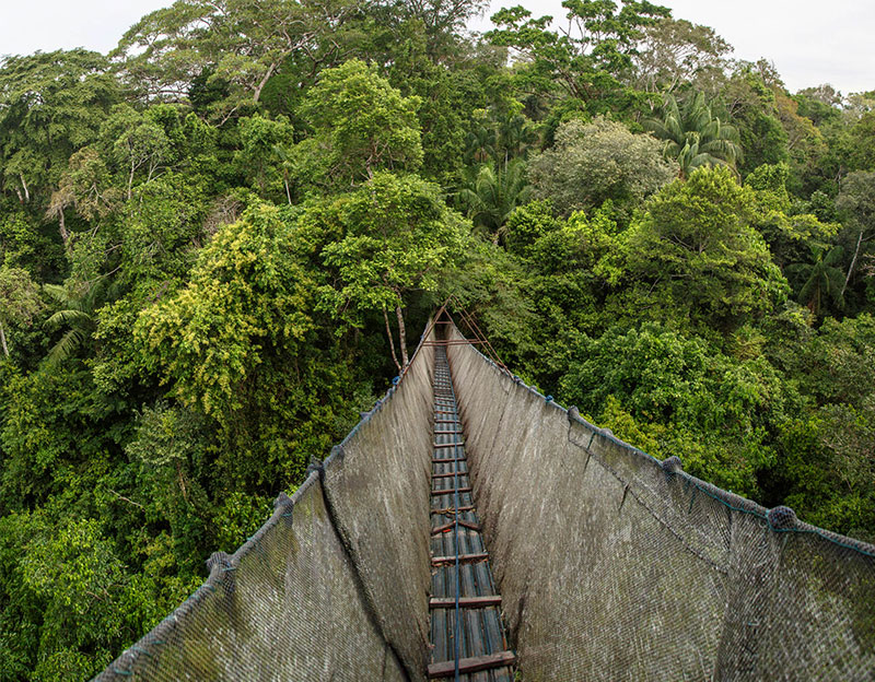 amazon rainforest travel guide